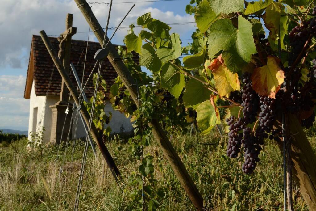 Апартаменты Am Weinberg - Stilvoll, Ruhig, Zum Wohlfuehlen Пфаффенвайлер Экстерьер фото